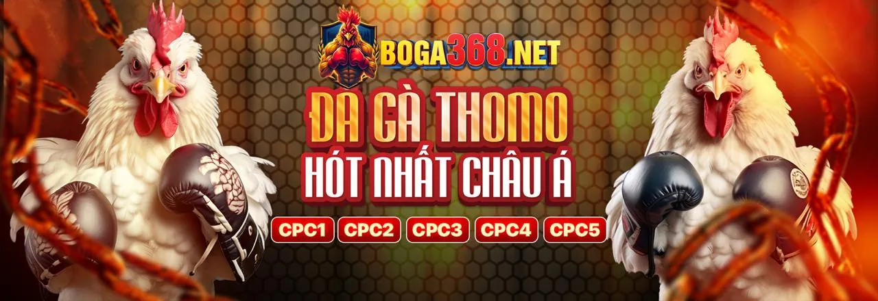 Cam kết của 999ok về cờ bạc an toàn
