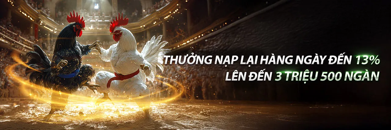 Sân vận động bóng đá với ánh đèn rực rỡ và đám đông cổ vũ, biểu tượng cho cá cược thể thao sôi động tại 999ok trang chủ chính thức